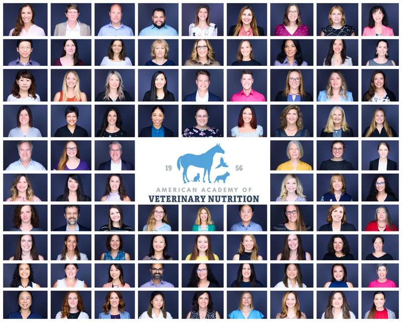 AAVN veterinary association corporate headshots Atlantic City
